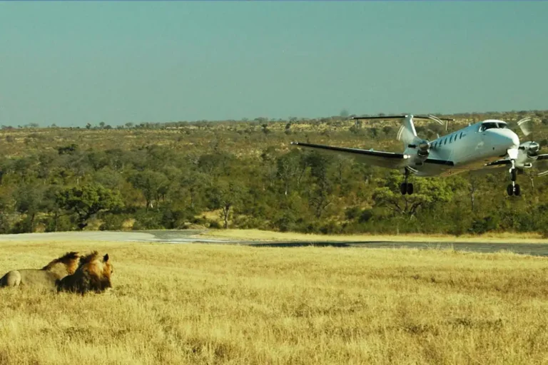 5 day flyin from Zanzibar to Serengeti