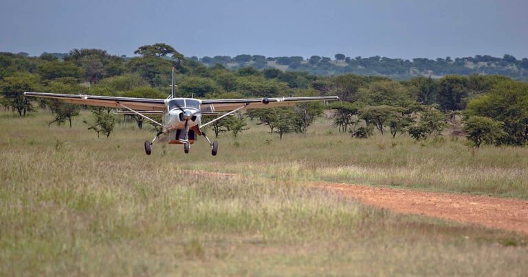 6 Day Fly-in Safari from Zanzibar