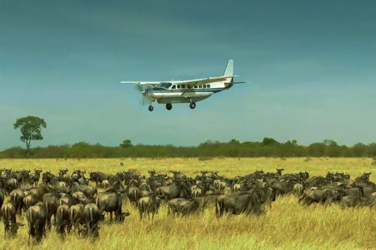 6-day fly-in safari From Arusha