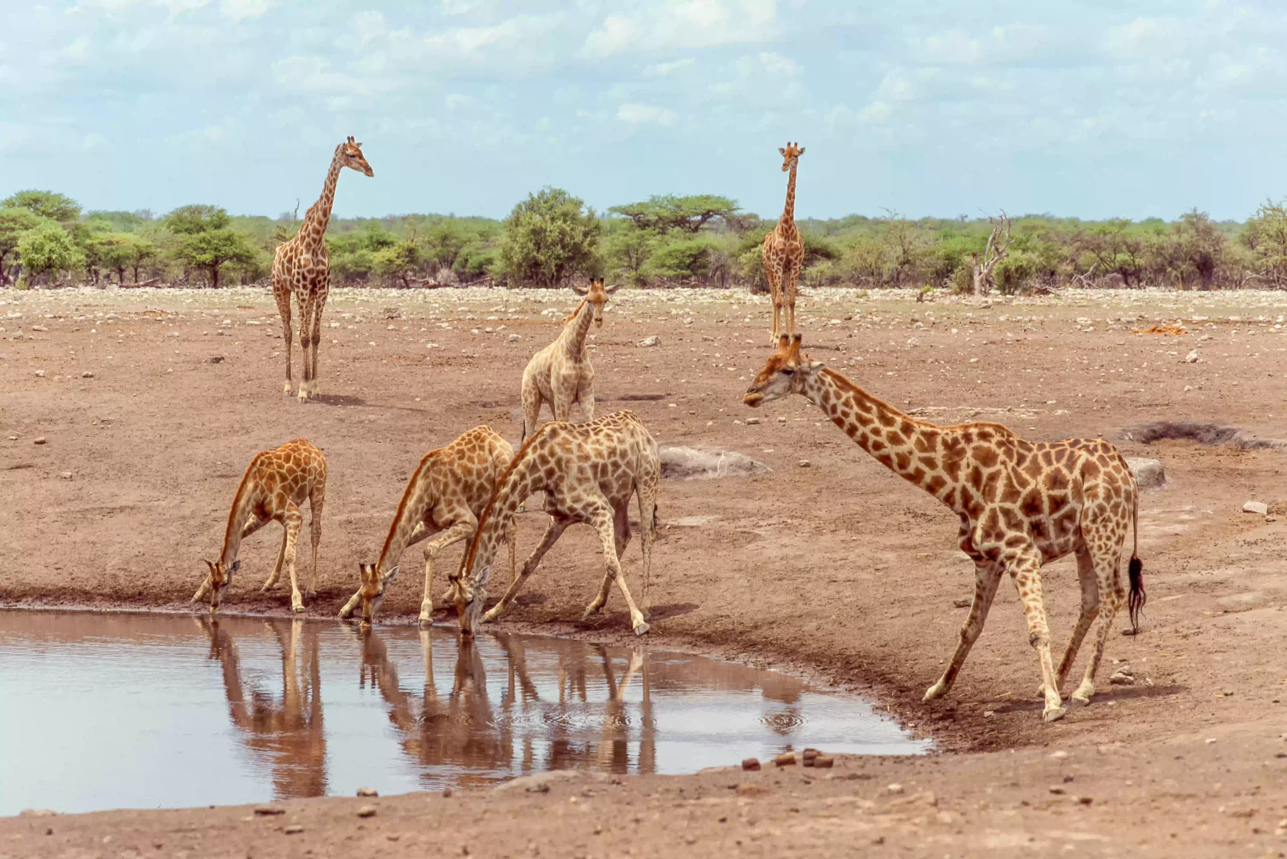 2 day drive in Lake Manyara and Ngorongoro