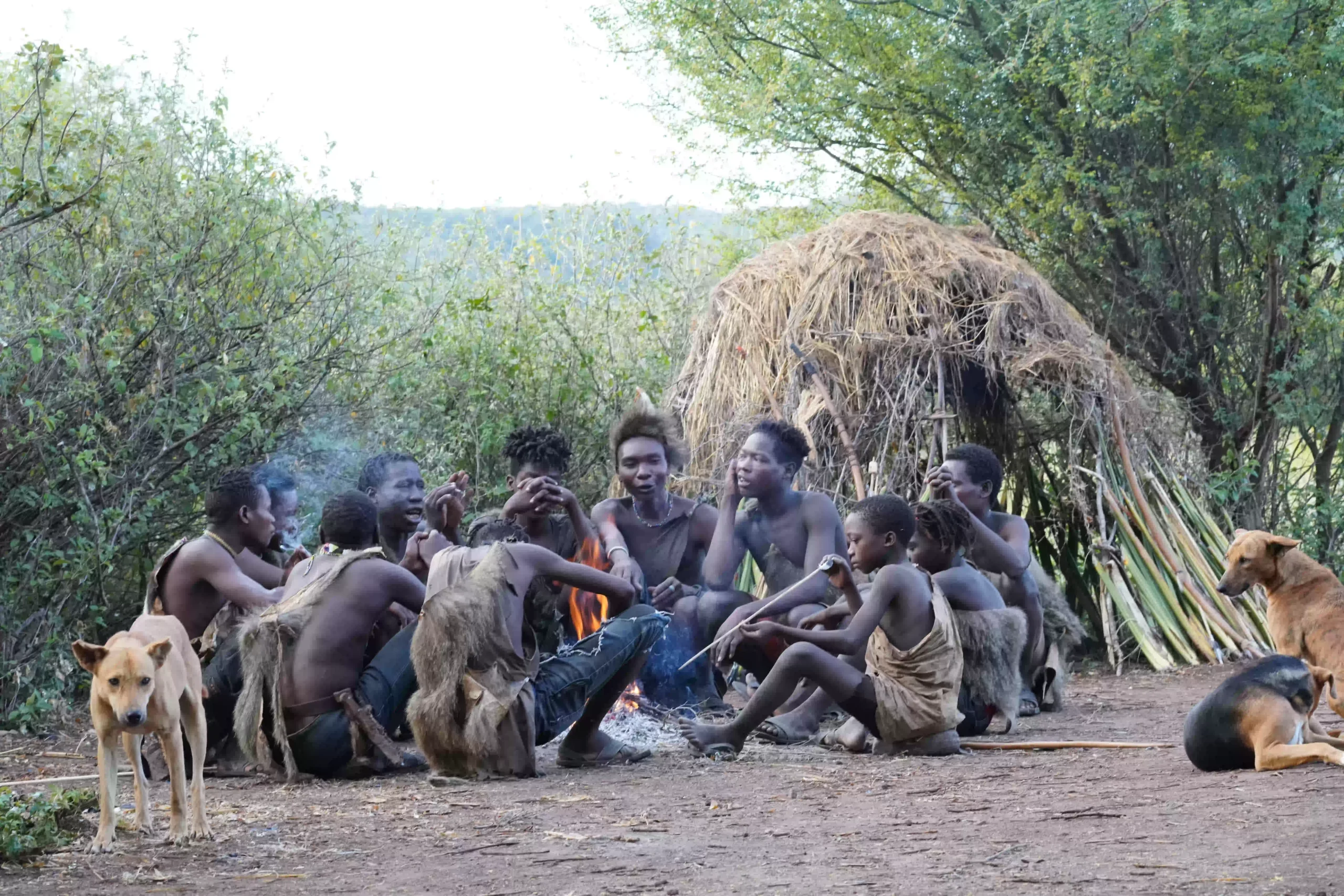 Hadzabe community sharing stories by the fire on a cultural day