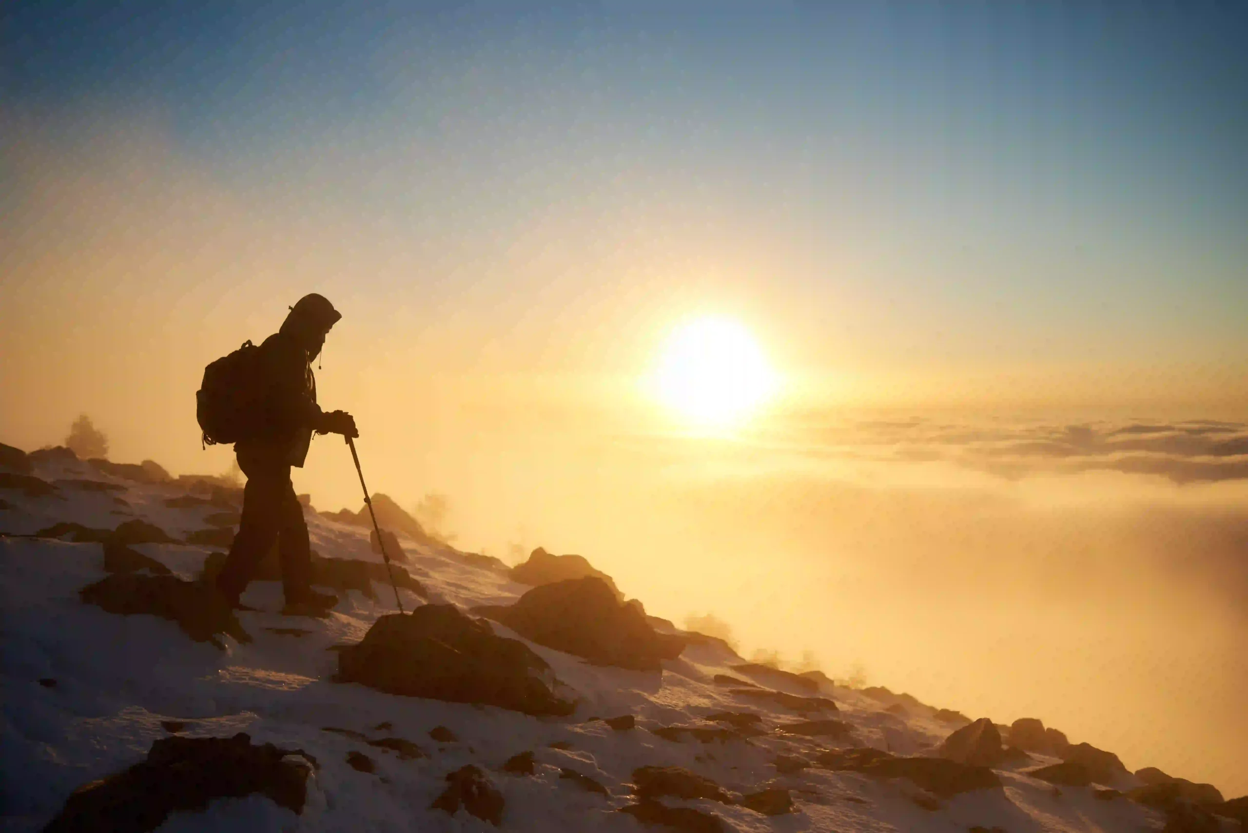 Trekker climbing out of rainforest toward the Shira Plateau